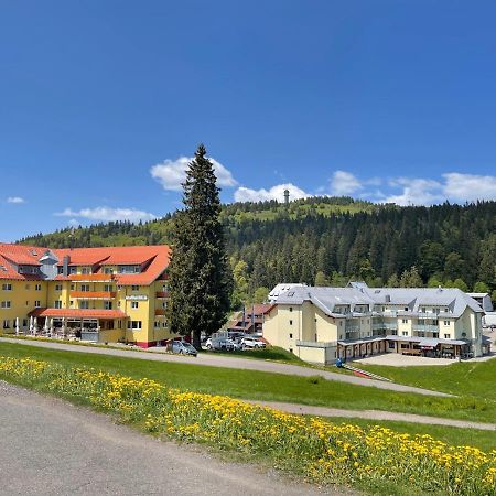 Neue Ferienwohnung Mit Whirlpool Und Sauna In Der Residenz Grafenmatt Inklusive Hochschwarzwaldcard เฟลด์แบร์ก ภายนอก รูปภาพ
